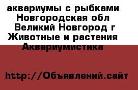 аквариумы с рыбками - Новгородская обл., Великий Новгород г. Животные и растения » Аквариумистика   